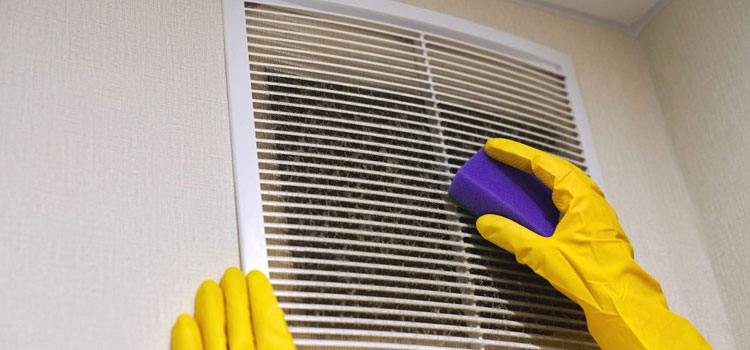 Commercial Duct Cleaning Services in Van Alstyne, TX