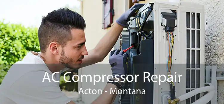 AC Compressor Repair Acton - Montana