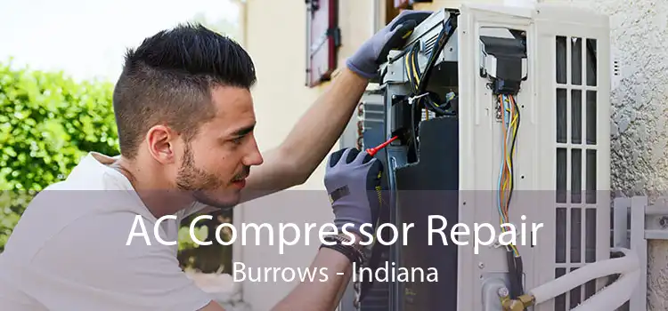 AC Compressor Repair Burrows - Indiana