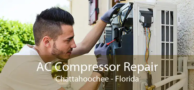 AC Compressor Repair Chattahoochee - Florida