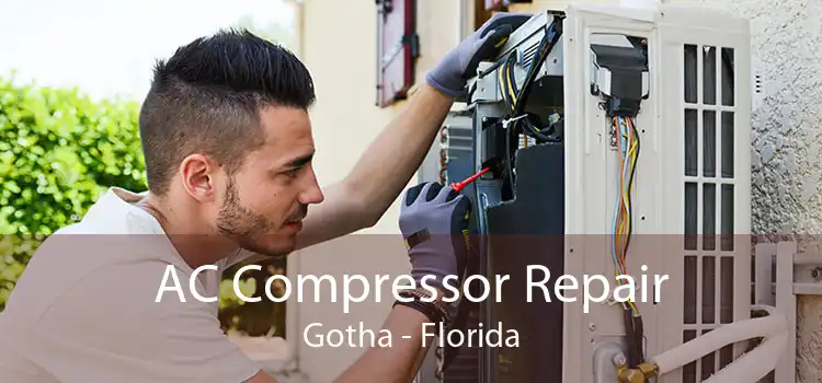 AC Compressor Repair Gotha - Florida