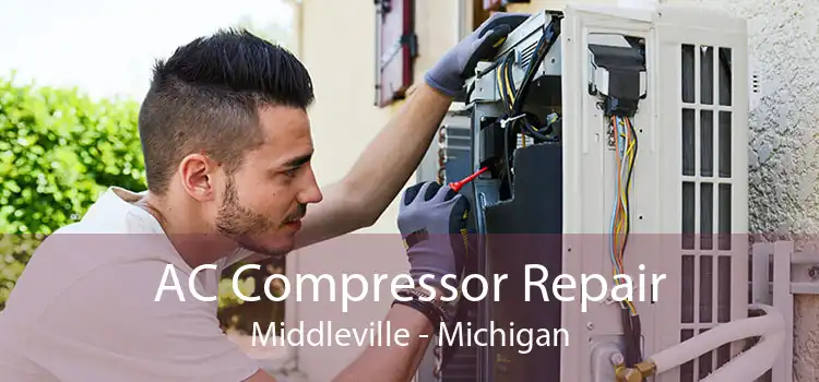 AC Compressor Repair Middleville - Michigan