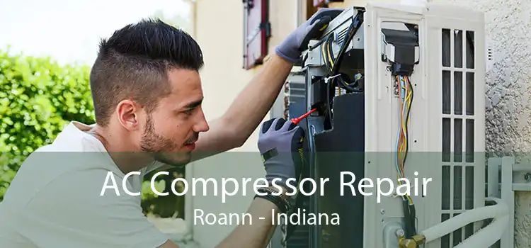AC Compressor Repair Roann - Indiana