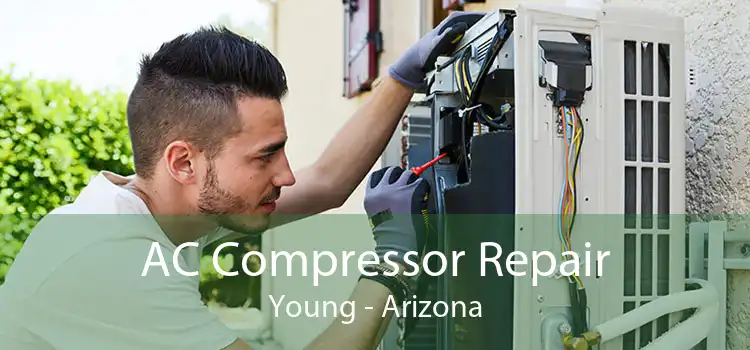 AC Compressor Repair Young - Arizona