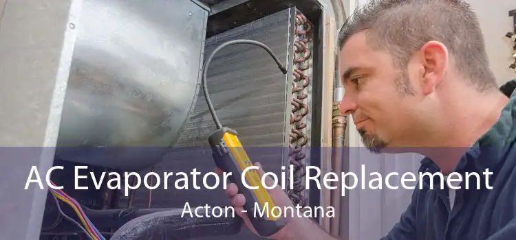 AC Evaporator Coil Replacement Acton - Montana