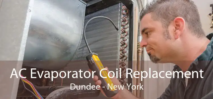 AC Evaporator Coil Replacement Dundee - New York