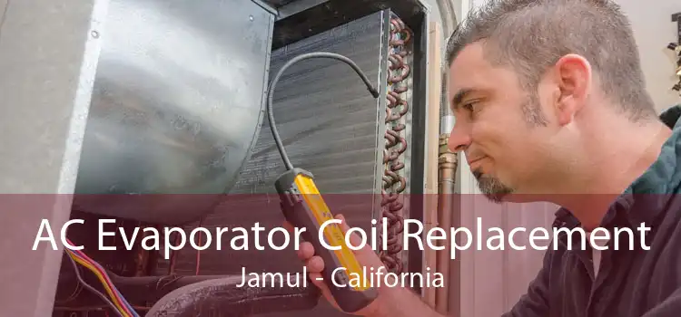 AC Evaporator Coil Replacement Jamul - California