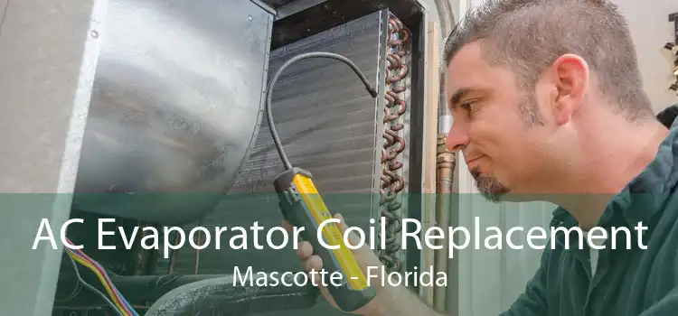 AC Evaporator Coil Replacement Mascotte - Florida
