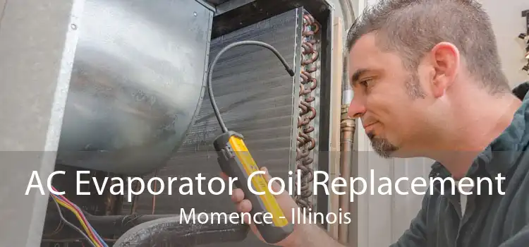 AC Evaporator Coil Replacement Momence - Illinois