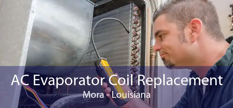AC Evaporator Coil Replacement Mora - Louisiana