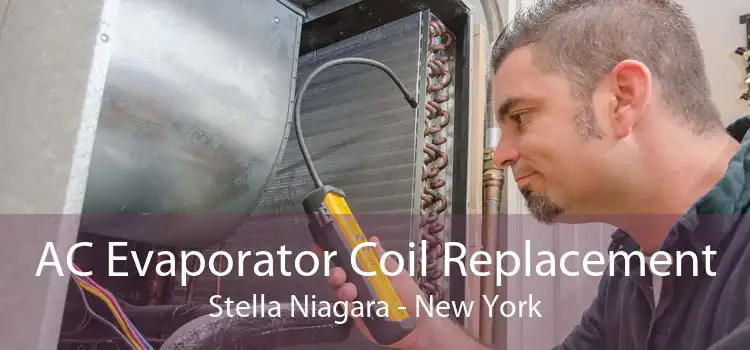 AC Evaporator Coil Replacement Stella Niagara - New York