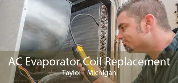 AC Evaporator Coil Replacement Taylor - Michigan