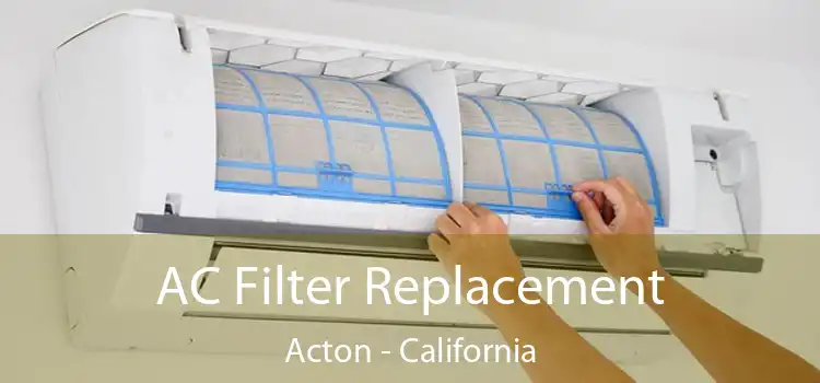 AC Filter Replacement Acton - California