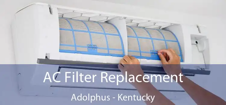 AC Filter Replacement Adolphus - Kentucky