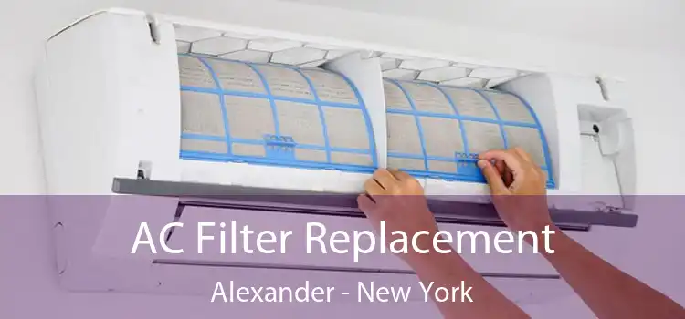 AC Filter Replacement Alexander - New York