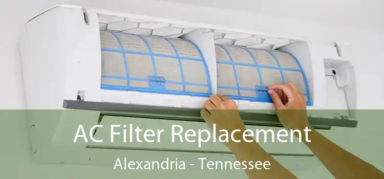 AC Filter Replacement Alexandria - Tennessee