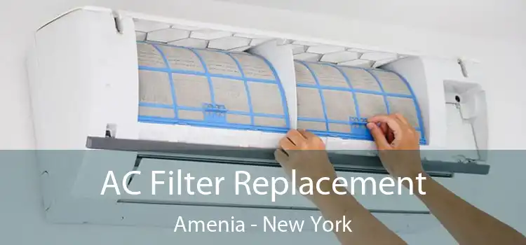 AC Filter Replacement Amenia - New York