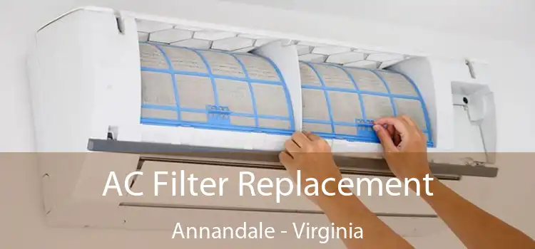 AC Filter Replacement Annandale - Virginia