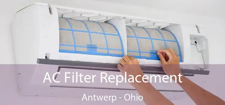 AC Filter Replacement Antwerp - Ohio