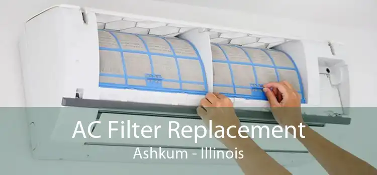 AC Filter Replacement Ashkum - Illinois
