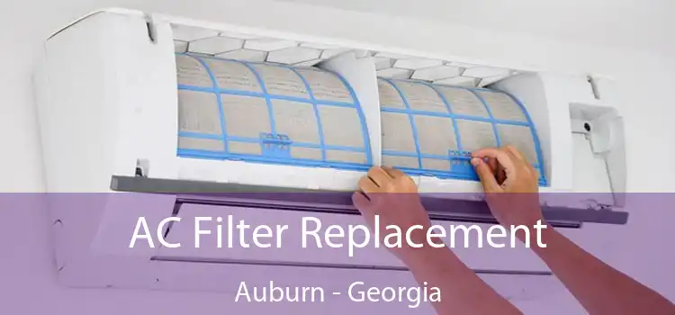 AC Filter Replacement Auburn - Georgia