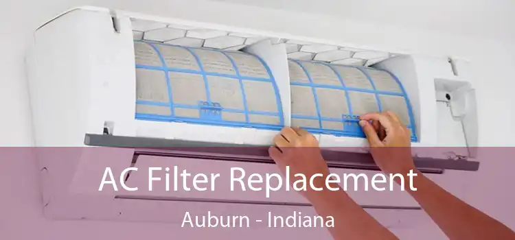 AC Filter Replacement Auburn - Indiana