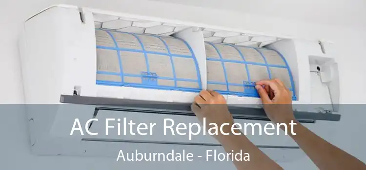 AC Filter Replacement Auburndale - Florida