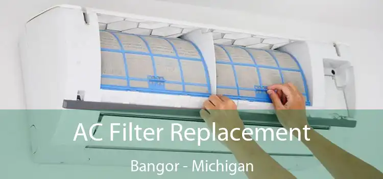 AC Filter Replacement Bangor - Michigan