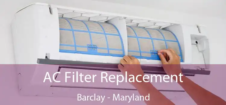 AC Filter Replacement Barclay - Maryland