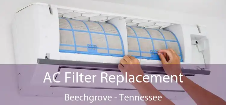 AC Filter Replacement Beechgrove - Tennessee