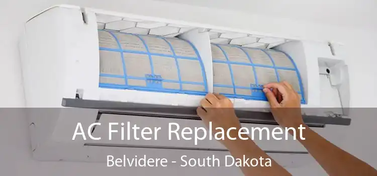 AC Filter Replacement Belvidere - South Dakota