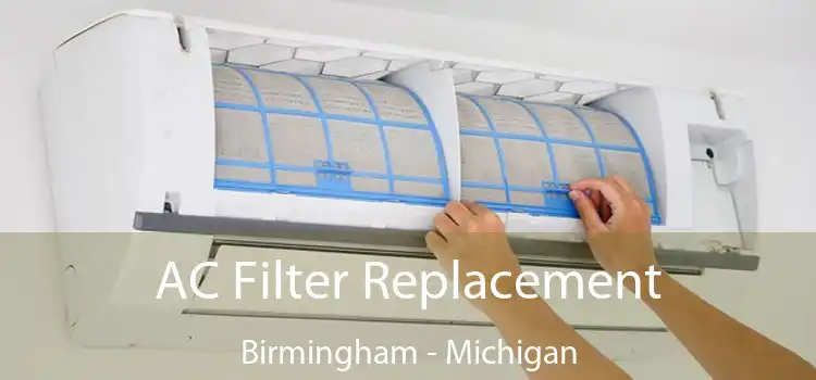 AC Filter Replacement Birmingham - Michigan