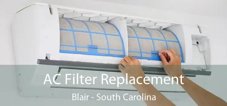 AC Filter Replacement Blair - South Carolina