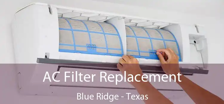 AC Filter Replacement Blue Ridge - Texas