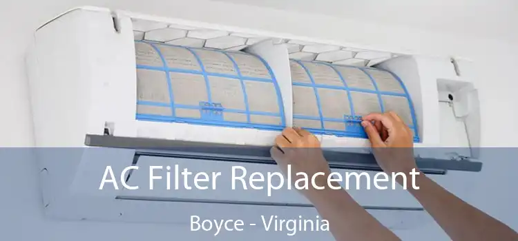 AC Filter Replacement Boyce - Virginia