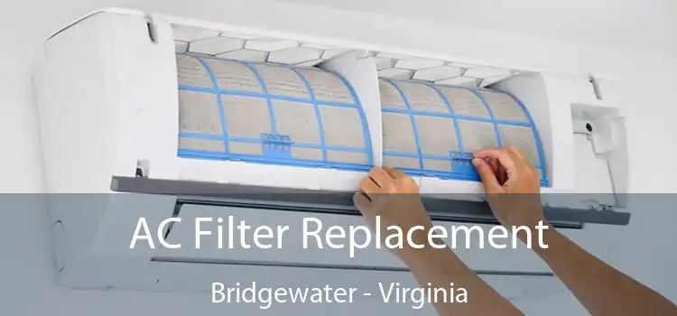 AC Filter Replacement Bridgewater - Virginia