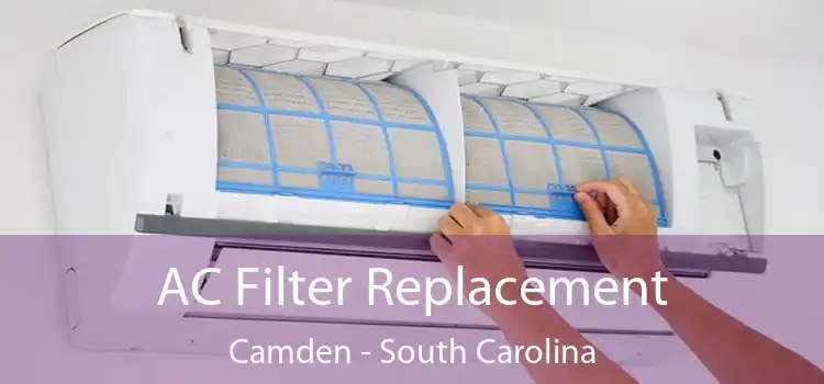 AC Filter Replacement Camden - South Carolina