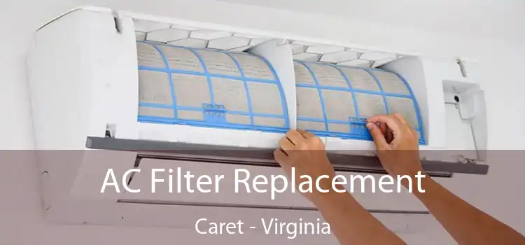 AC Filter Replacement Caret - Virginia