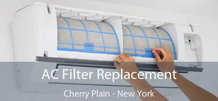 AC Filter Replacement Cherry Plain - New York