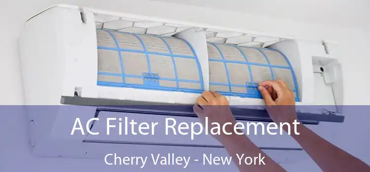 AC Filter Replacement Cherry Valley - New York