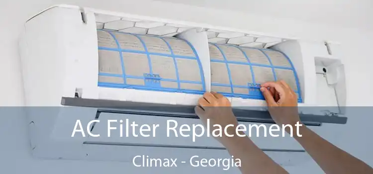 AC Filter Replacement Climax - Georgia