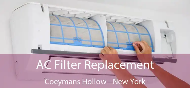 AC Filter Replacement Coeymans Hollow - New York