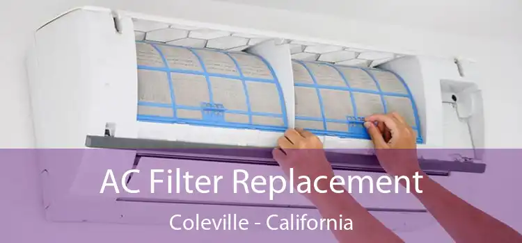 AC Filter Replacement Coleville - California