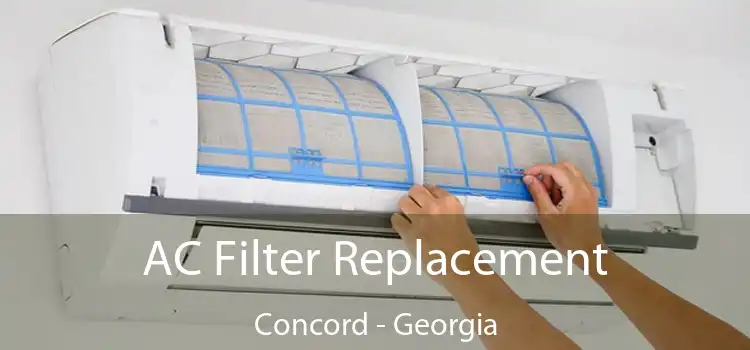 AC Filter Replacement Concord - Georgia