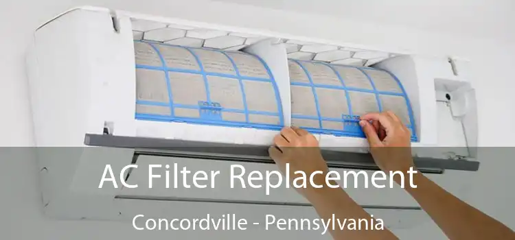 AC Filter Replacement Concordville - Pennsylvania