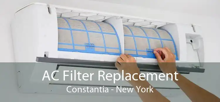 AC Filter Replacement Constantia - New York