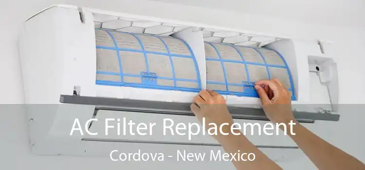 AC Filter Replacement Cordova - New Mexico