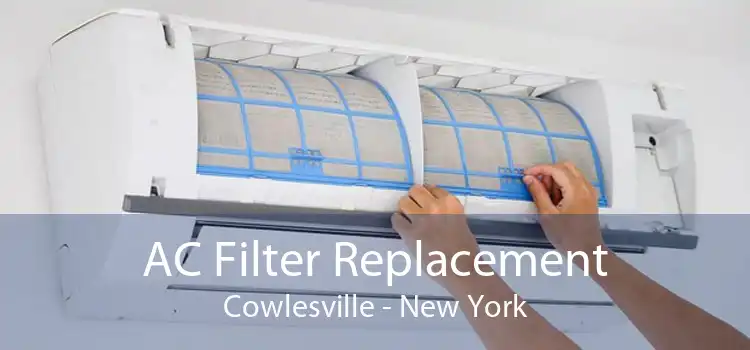 AC Filter Replacement Cowlesville - New York