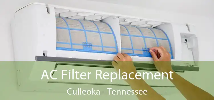 AC Filter Replacement Culleoka - Tennessee