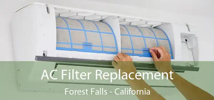 AC Filter Replacement Forest Falls - California